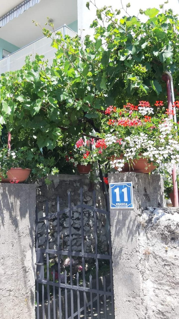 APARTMENTS SOKOLIC, Apartamenty Sokolic - Nowy Vinodolski, blisko morza i centrum miasta, Chorwacja Novi Vinodolski